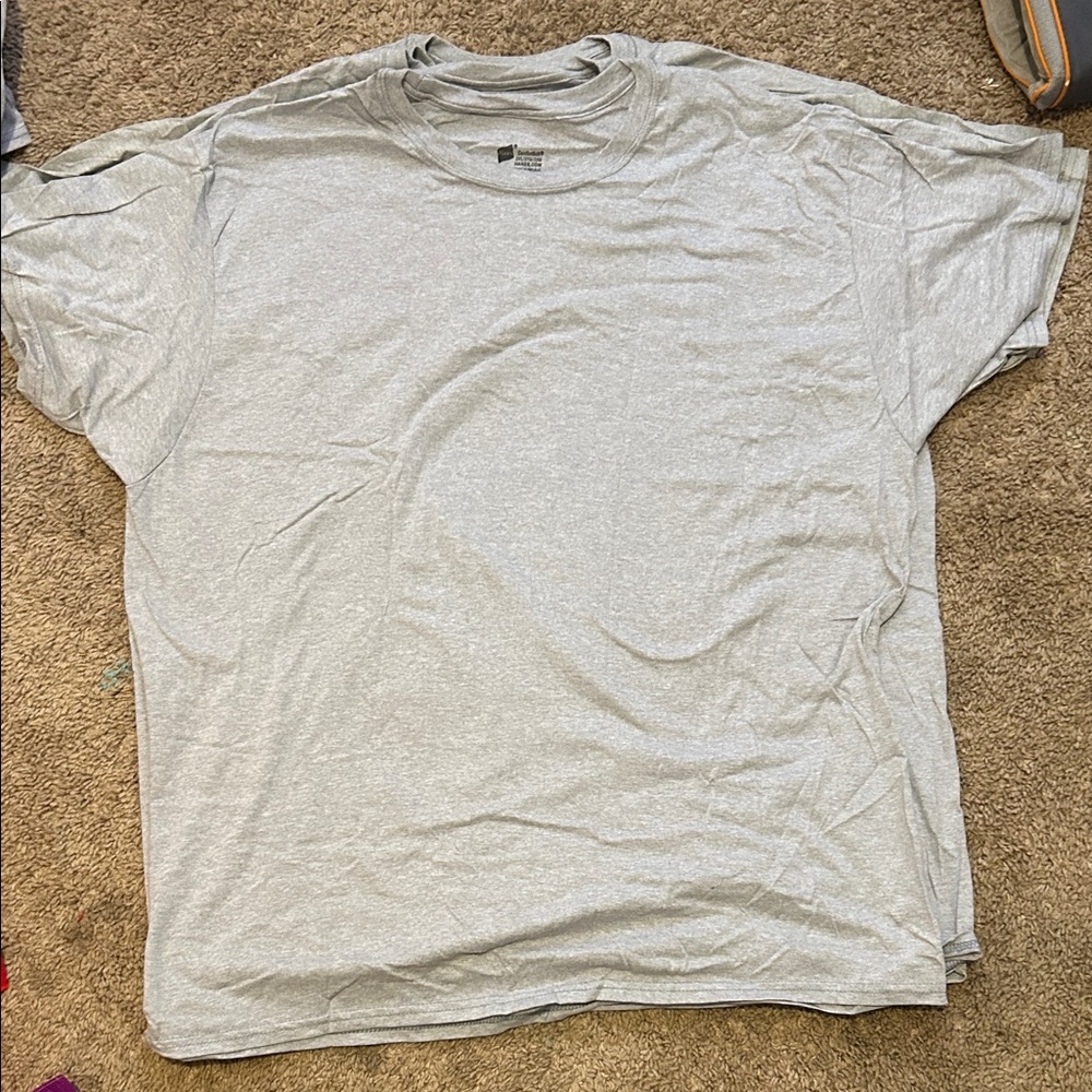 Hanes Light Gray Men's Short Sleeve Tee